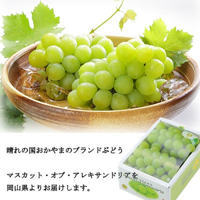 ã2025幎9æããçºéã岡山çç£ããã¹ã«ããã»ãªãã»ã¢ã¬ããµã³ããªã¢ã500gÃ2æ¿ãé
éäžå¯å°åïŒé¢å³¶ã»åæµ·éã»æ²çžçãã1424424ã