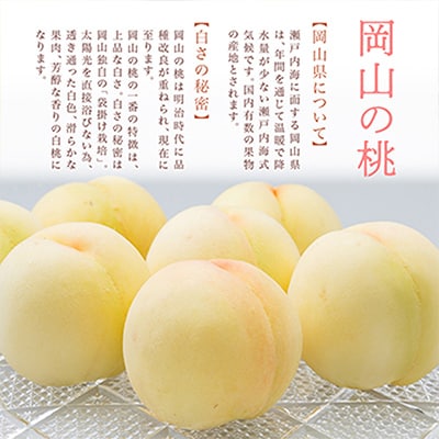 ãå
è¡åä»ã岡山çç£ãçœæ¡6ç(1.6kg以äž)ãåç²§ç®±å
¥ããé
éäžå¯å°åïŒé¢å³¶ã»åæµ·éã»æ²çžçãã1281362ã