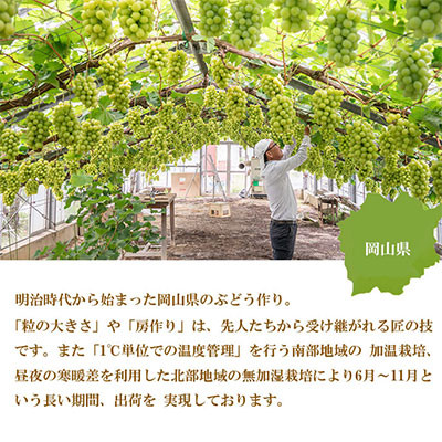 先行受付＜2025年8月下旬より発送＞岡山県産 シャインマスカット 晴王 2kg(3房〜6房) TY0-0305