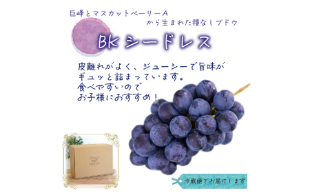 【2026年先行受付】岡山　花笑み農園の『BKシードレス』優品　約2kg(3〜5房)　B-2優【配送不可地域：離島・北海道・沖縄県】【1593502】