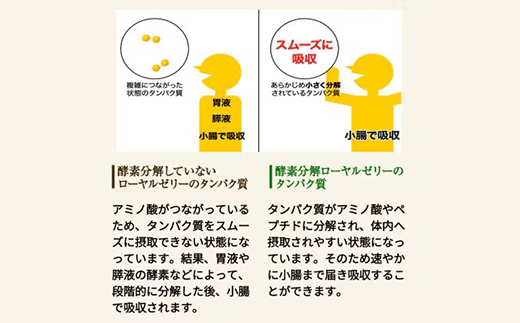 【毎月定期便】酵素分解ローヤルゼリーキング (560)全3回【4010070】