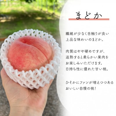 【2026年先行予約】上品な肉質 まどか 白桃 上級品 5-7玉入(岡山県産)【配送不可地域：離島】【1571597】