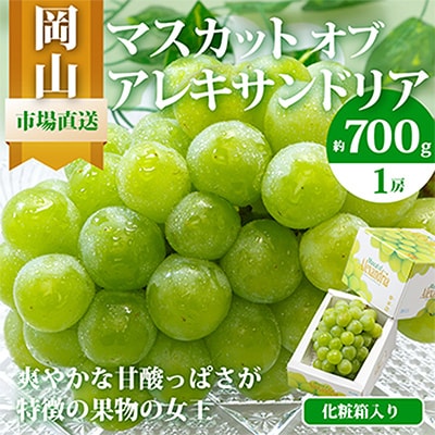 【先行受付】岡山県産マスカットオブアレキサンドリア1房(秀品以上・700g以上)化粧箱入り【配送不可地域：離島・北海道・沖縄県】【1150087】