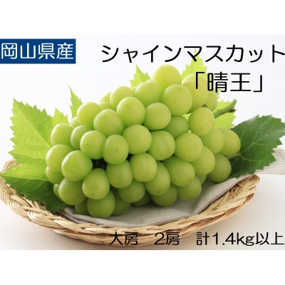 ◆先行受付◆    秋のシャインマスカット「晴王」2房　2026年発送　【配送不可地域：離島・北海道・沖縄県】【1349782】