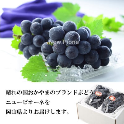 【2026年6月下旬より順次発送】岡山県産 ニューピオーネ 600g×2房【配送不可地域：離島・北海道・沖縄県】【1308145】