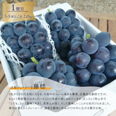 ãçºéæåºå®å®æäŸ¿ãã2026幎å
è¡äºçŽãè€çšãšã·ã£ã€ã³ãã¹ã«ããå2kgå
¥ã®å®æäŸ¿(岡山ç£)å
š2åãé
éäžå¯å°åïŒé¢å³¶ãã4068046ã