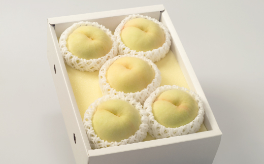 âå
è¡åä»âã岡山çç£ãæž
æ°Žçœæ¡5ã7çã2026幎çºéãé
éäžå¯å°åïŒé¢å³¶ã»åæµ·éã»æ²çžçãã1349770ã