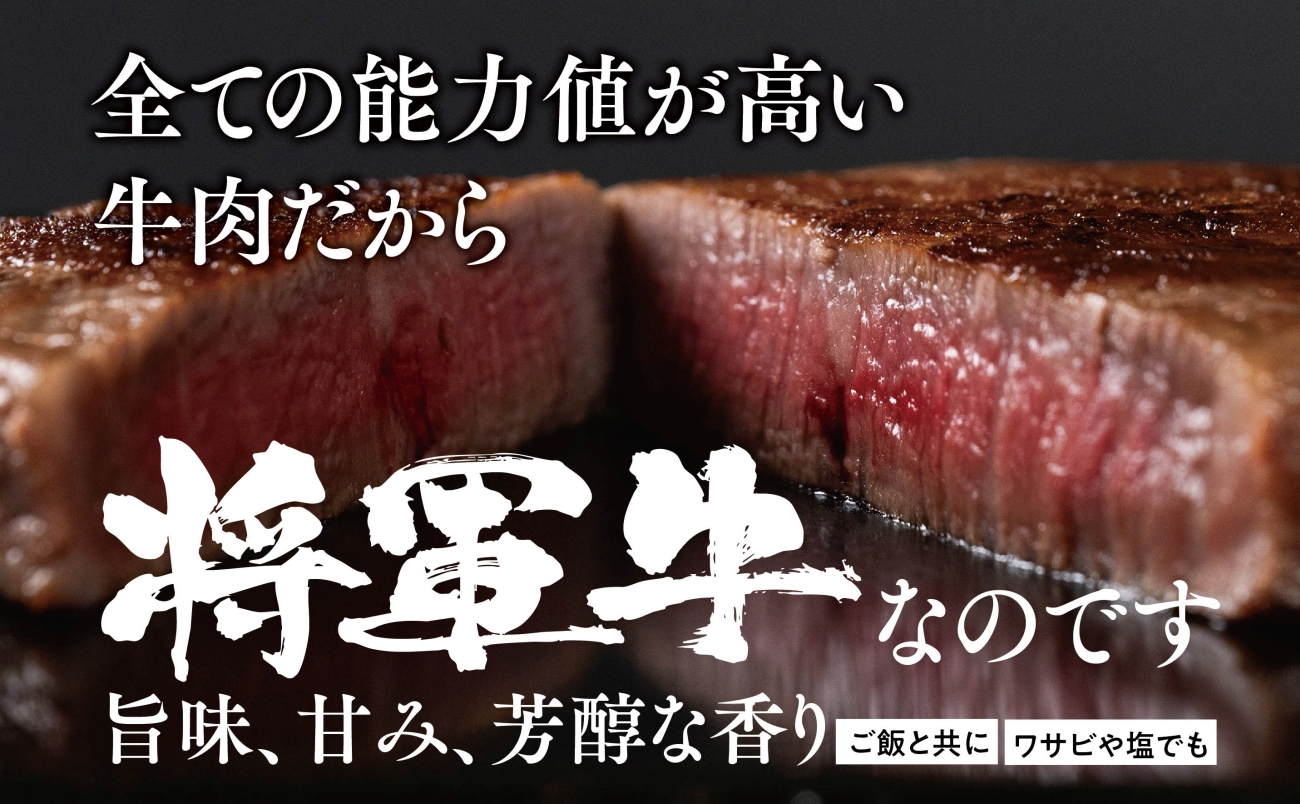 ãå°è»çãç¹éžãã¬ã¹ããŒã 300gãé
éäžå¯å°åïŒé¢å³¶ã»åæµ·éã»æ²çžçãã1653413ã