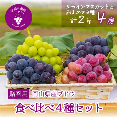 【2026年先行受付】岡山　花笑み農園の『食べ比べ4種』シャイン入り　贈答用　2kg(4房)4M-2【配送不可地域：離島・北海道・沖縄県】【1626792】