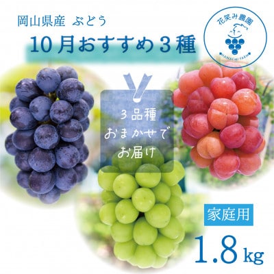 【2026年先行受付】岡山　花笑み農園の『10月おすすめ3種』家庭用　1.8kg(3房)3M-2L家【配送不可地域：離島】【1694423】