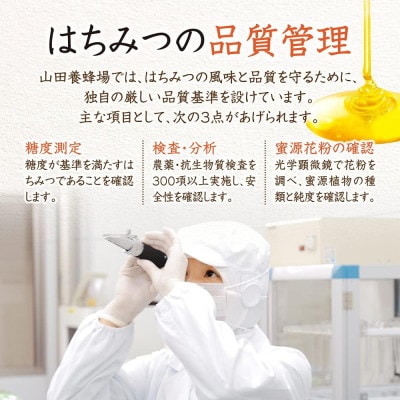 【お試しサイズ】里山のぼだいじゅ蜂蜜(国産)120g(24151)【1702897】