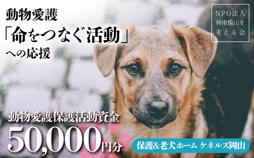 保護＆老犬ホーム ケネルズ岡山 動物愛護「命をつなぐ活動」への応援 TY0-0597