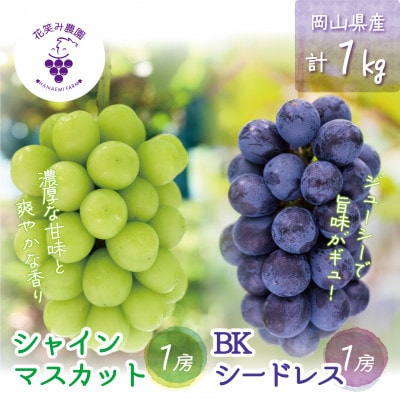 【2026年先行受付】岡山　花笑み農園『シャインマスカット&BKシードレス』1kg(2房)BS-1【配送不可地域：離島・北海道・沖縄県】【1628317】