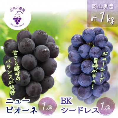 【2026年先行受付】岡山　花笑み農園の『ニューピオーネ&BKシードレス』1kg(2房)PB-1【配送不可地域：離島・北海道・沖縄県】【1627765】