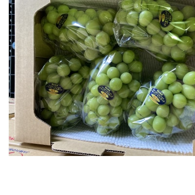新鮮・朝採り後即出荷!岡山県　吉備高原産シャインマスカット　5kg(7〜10房)ご贈答品【1700900】