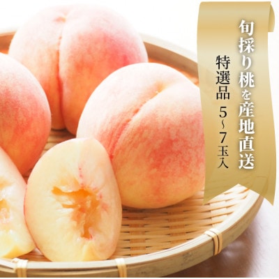 【2026年先行予約】特選品　旬採り桃　5-7玉　(岡山県産)【配送不可地域：離島】【1696626】
