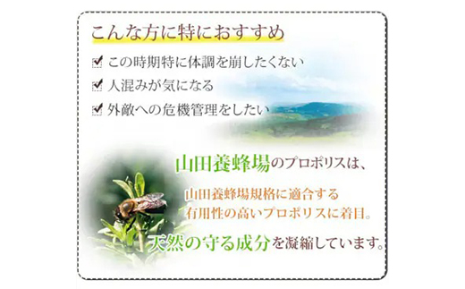 【毎月定期便】プロポリス粒 (486)全12回【4008980】