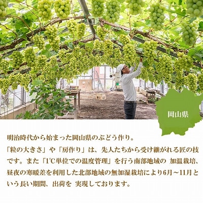 【2026年7月中旬より順次発送】岡山県産 シャインマスカット 晴王 5kg(5房〜10房)【配送不可地域：離島・北海道・沖縄県】【1365941】