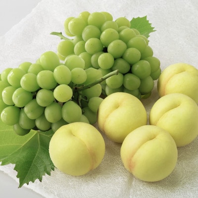 ◆先行受付◆　岡山白桃とシャインマスカット　2026年発送【配送不可地域：離島・北海道・沖縄県】【1349778】