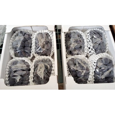 先行予約　岡山産　完熟ピオーネ　4〜5房　2キロ以上【配送不可地域：離島】【1712303】