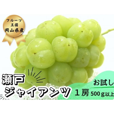 ã2026幎å
è¡åä»ãã詊ããææ¡ãæ°é®®!人æ°ã¶ã©ãç¬æžãžã£ã€ã¢ã³ã1æ¿ã500g以äžãé
éäžå¯å°åïŒé¢å³¶ãã1566950ã