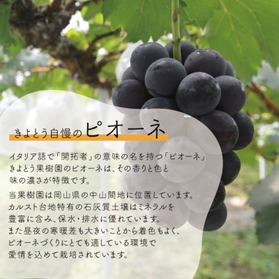 ããªãŒã&ã·ã£ã€ã³ãã¹ã«ãã äžçŽå 倧2æ¿ /èš1.3kg~ (岡山çç£) 人æ°ã®é£ã¹æ¯ã¹ã»ãã!ãé
éäžå¯å°åïŒé¢å³¶ãã1571760ã