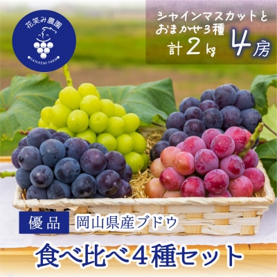 【2026年先行受付】岡山　花笑み農園の『食べ比べ4種』シャイン入り　優品　2kg(4房)4M-2優【配送不可地域：離島・北海道・沖縄県】【1593520】