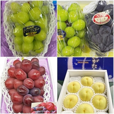 【発送月固定定期便】岡山県産  フルーツ定期便全4回【配送不可地域：離島】【4076456】