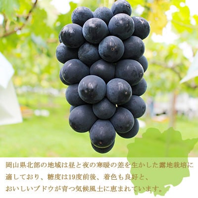 縲仙郁。悟女莉倥大イ。螻ア逵檎肇縲繝悶Λ繝繧ッ繝薙シ繝医2kg(3謌ソ縲6謌ソ)縲宣埼∽ク榊庄蝨ー蝓滂シ夐屬蟲カ繝サ蛹玲オキ驕薙サ豐也ク逵後代1400519縲