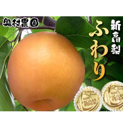 《2026年9月中旬より順次発送》新高梨 ふわり(5玉入り)【配送不可地域：離島】【1619638】