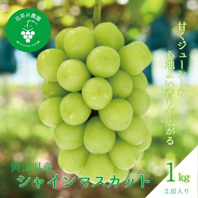 ã2026幎å
è¡åä»ã岡山ãè±ç¬ã¿èŸ²åã® ãã·ã£ã€ã³ãã¹ã«ããã1kg(2æ¿)ãS-1ãé
éäžå¯å°åïŒé¢å³¶ã»åæµ·éã»æ²çžçãã1628313ã