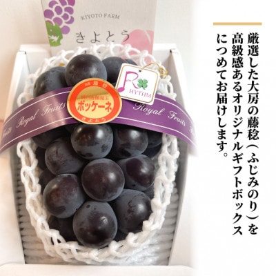 大粒葡萄の「藤稔」 大サイズ1房 厳選品 1房700g〜 (岡山県産) ギフトにおすすめの人気葡萄!【配送不可地域：離島】【1721884】