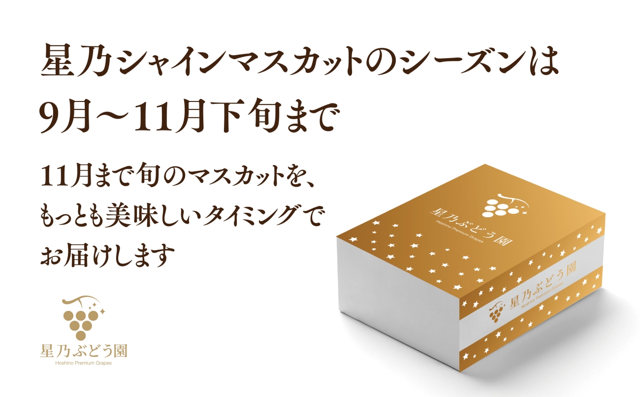 先行受付【三つ星ブランド】星乃シャインマスカット 数量限定 (岡山県産)2房(1.3kg以上)【配送不可地域：離島・北海道・沖縄県】【1418979】