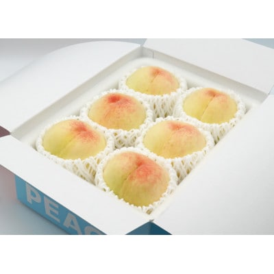 岡山白桃(ご家庭用)5〜7玉入り　【2024年7月頃より発送予定】【配送不可地域：離島】【1460786】