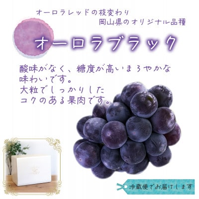 【2026年先行受付】岡山　花笑み農園のブドウ『オーロラブラック』1kg(2房)　A-1【配送不可地域：離島・北海道・沖縄県】【1628324】