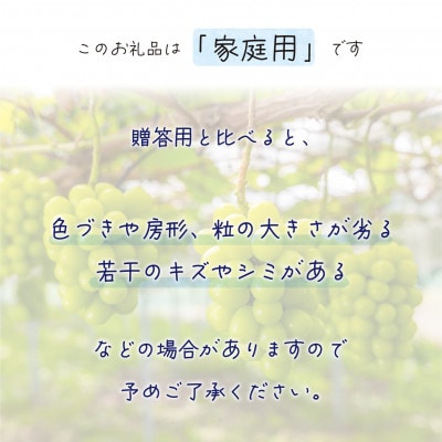 ã2026幎å
è¡åä»ã岡山ãè±ç¬ã¿èŸ²åã®ãã·ã£ã€ã³ãã¹ã«ãããå®¶åºçšãçŽ2kg(3ã5æ¿)ãS-2å®¶ãé
éäžå¯å°åïŒé¢å³¶ã»åæµ·éã»æ²çžçãã1626807ã