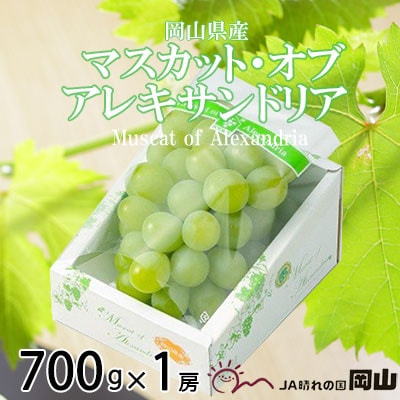 【2026年6月下旬より順次発送】岡山県産 マスカット・オブ・アレキサンドリア 700g×1房【配送不可地域：離島・北海道・沖縄県】【1364674】