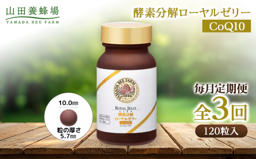 【毎月定期便】酵素分解ローヤルゼリー CoQ10(5935)全3回【4008982】