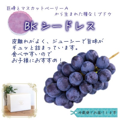 【2026年先行受付】岡山　花笑み農園の『BKシードレス』1kg(2〜3房)　B-1【配送不可地域：離島・北海道・沖縄県】【1628316】