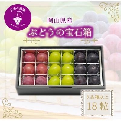 【2026年先行受付】岡山　花笑み農園『ブドウの宝石箱』3種以上(18粒入り)　3M-宝18【配送不可地域：離島・北海道・沖縄県】【1629379】