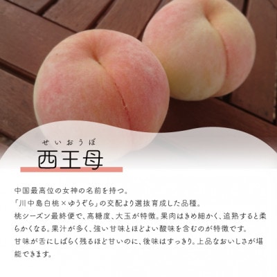 【2026年先行予約】女神の名を持つ希少な晩生桃、西王母(上級品)4-6玉入(岡山県産)【配送不可地域：離島】【1696629】