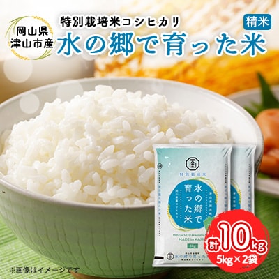 【岡山県津山市加茂町産】水の郷で育った米10kg(特別栽培米コシヒカリ)【1352223】