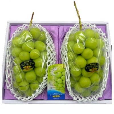 縲仙郁。悟女莉倥大イ。螻ア逵檎肇 繧キ繝」繧、繝ウ繝槭せ繧ォ繝繝医取匐邇九2謌ソ(1謌ソ480g莉・荳) 蛹也イァ邂ア蜈・繧翫宣埼∽ク榊庄蝨ー蝓滂シ夐屬蟲カ繝サ蛹玲オキ驕薙サ豐也ク逵後代1499104縲