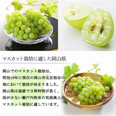 【2025年9月より発送】岡山県産　マスカット・オブ・アレキサンドリア　400g×2房【配送不可地域：離島・北海道・沖縄県】【1424422】
