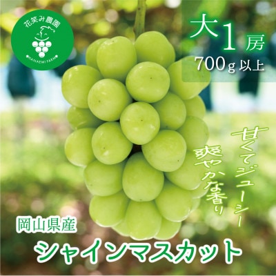 【2026年先行受付】岡山　花笑み農園の『シャインマスカット』700g以上(大1房)S-大1【配送不可地域：離島】【1695384】