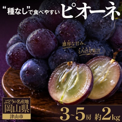 星乃ピオーネ 3房〜5房(2kg以上)【配送不可地域：離島】【1740015】