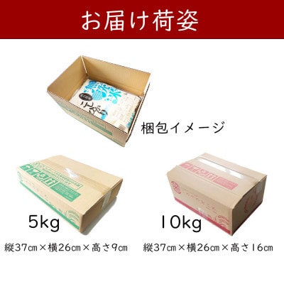 【無洗米】令和7年産 岡山県産 こしひかり 5kg×2袋(合計10kg)【1717502】