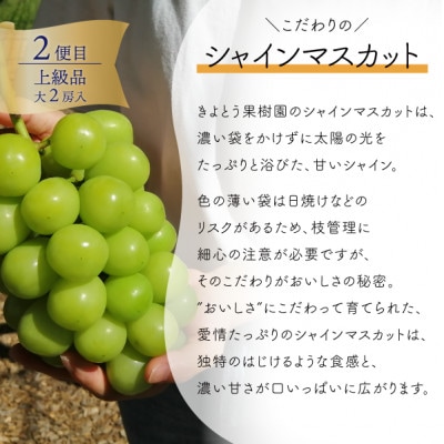 ãçºéæåºå®å®æäŸ¿ãã2026幎å
è¡äºçŽãå³éžãããå€§çæ¡3çãšå€§ç²ã·ã£ã€ã³ãã¹ã«ããå®æäŸ¿!å
š2åãé
éäžå¯å°åïŒé¢å³¶ãã4071130ã