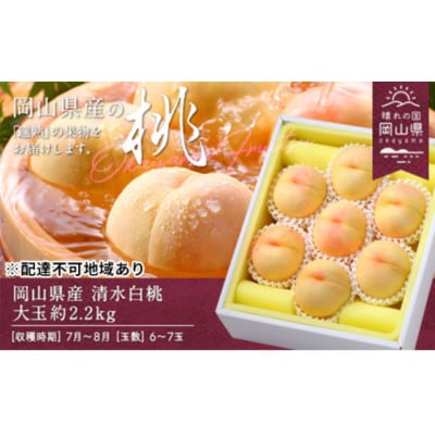 【2026年発送】岡山県産　清水白桃　約2.2kg(大玉6〜7玉)【配送不可地域：離島】【1614028】