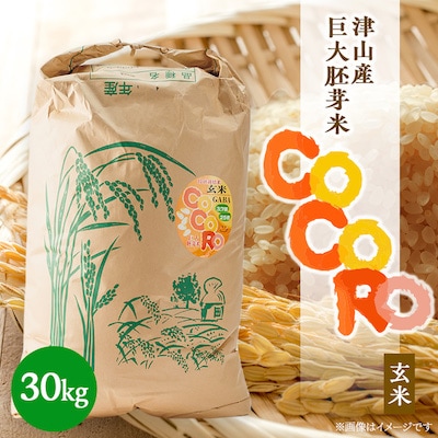 【突鉱土育ち】巨大胚芽米CoCoRo 30kg【1361995】